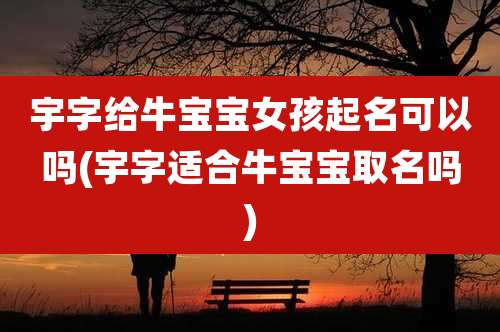 宇字给牛宝宝女孩起名可以吗(宇字适合牛宝宝取名吗)