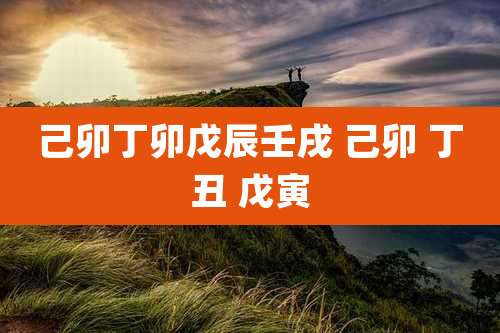 己卯丁卯戊辰壬戌 己卯 丁丑 戊寅