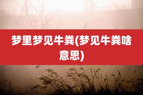 梦里梦见牛粪(梦见牛粪啥意思)