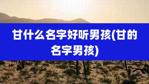 甘什么名字好听男孩(甘的名字男孩)