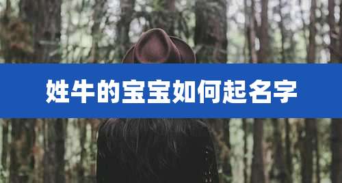 姓牛的宝宝如何起名字