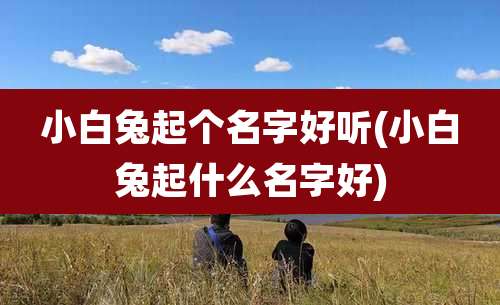 小白兔起个名字好听(小白兔起什么名字好)