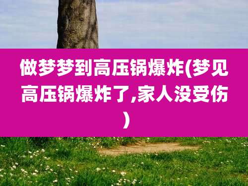 做梦梦到高压锅爆炸(梦见高压锅爆炸了,家人没受伤)