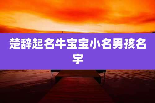 楚辞起名牛宝宝小名男孩名字