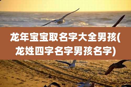 龙年宝宝取名字大全男孩(龙姓四字名字男孩名字)