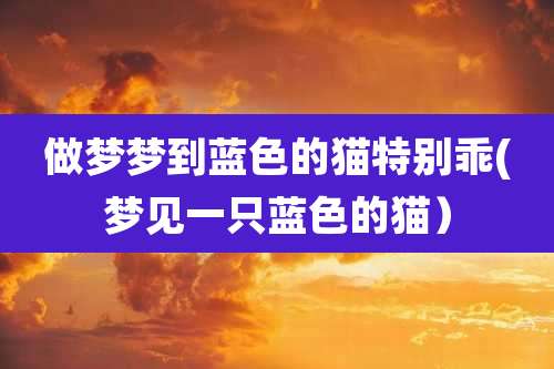 做梦梦到蓝色的猫特别乖(梦见一只蓝色的猫）
