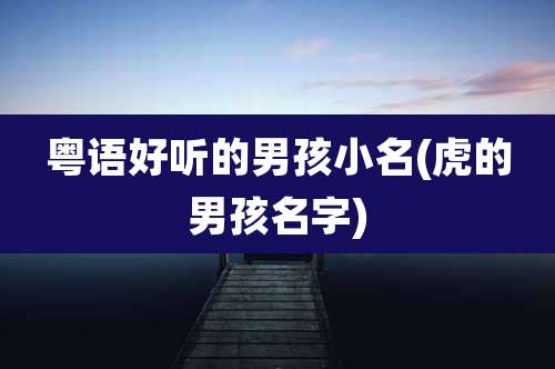 粤语好听的男孩小名(虎的男孩名字)