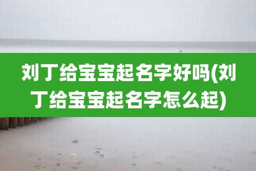 刘丁给宝宝起名字好吗(刘丁给宝宝起名字怎么起)