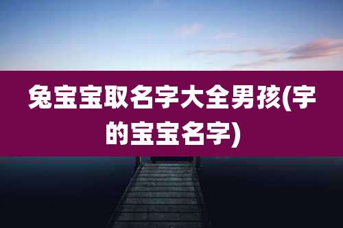 兔宝宝取名字大全男孩(宇的宝宝名字)