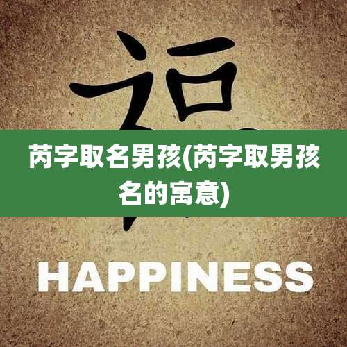 芮字取名男孩(芮字取男孩名的寓意)