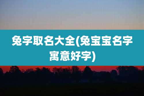 兔字取名大全(兔宝宝名字寓意好字)