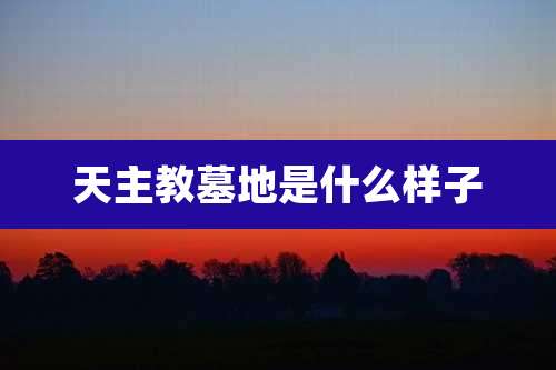 天主教墓地是什么样子