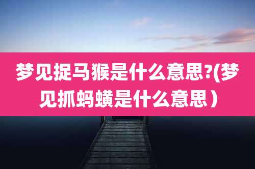 梦见捉马猴是什么意思?(梦见抓蚂蟥是什么意思)