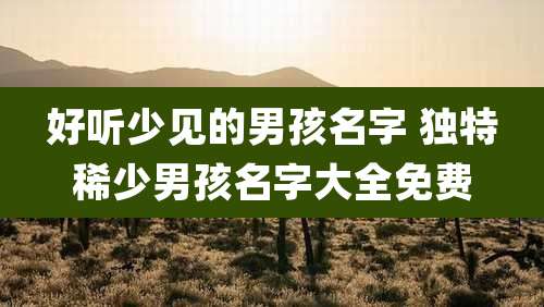 好听少见的男孩名字 独特稀少男孩名字大全免费