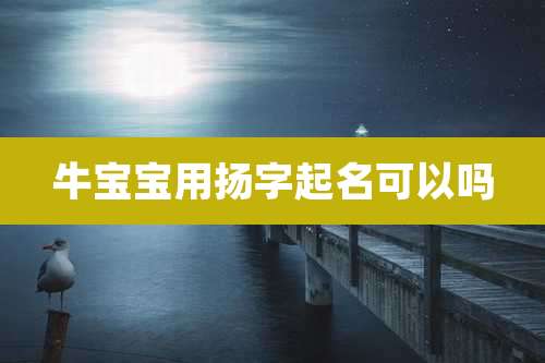 牛宝宝用扬字起名可以吗