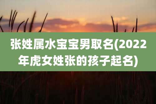 张姓属水宝宝男取名(2022年虎女姓张的孩子起名)