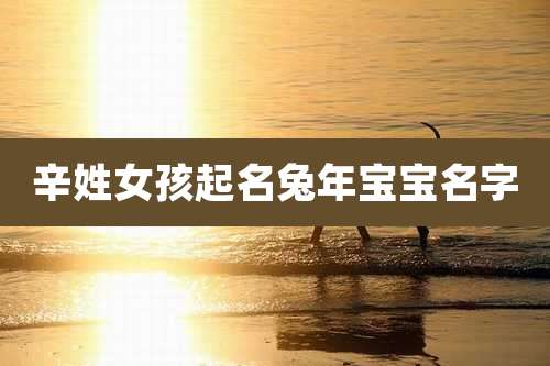 辛姓女孩起名兔年宝宝名字