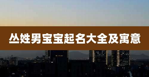 丛姓男宝宝起名大全及寓意