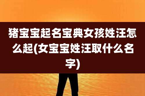 猪宝宝起名宝典女孩姓汪怎么起(女宝宝姓汪取什么名字)