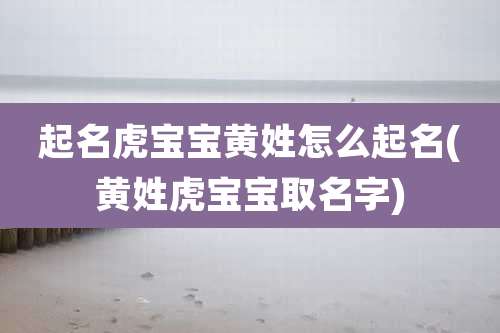 起名虎宝宝黄姓怎么起名(黄姓虎宝宝取名字)