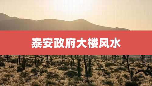 泰安***大楼风水