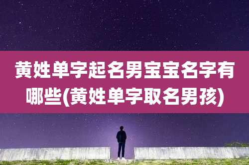 黄姓单字起名男宝宝名字有哪些(黄姓单字取名男孩)