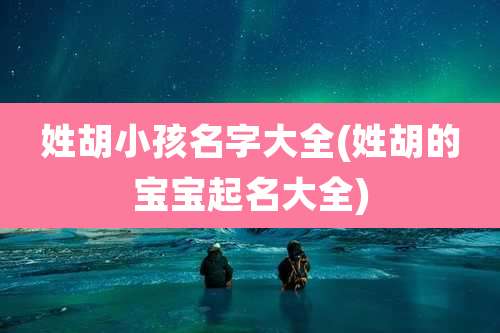 姓胡小孩名字大全(姓胡的宝宝起名大全)