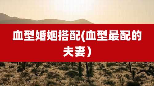 血型婚姻搭配(血型最配的夫妻)
