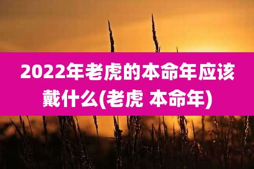 2022年老虎的本命年应该戴什么(老虎 本命年)