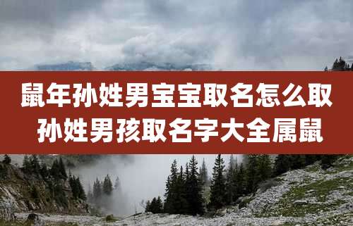 鼠年孙姓男宝宝取名怎么取 孙姓男孩取名字大全属鼠