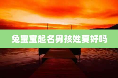 兔宝宝起名男孩姓夏好吗