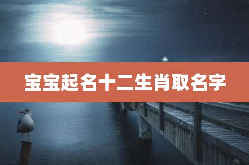 宝宝起名十二生肖取名字