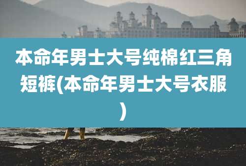 本命年男士大号纯棉红三角短裤(本命年男士大号衣服)