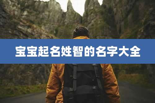 宝宝起名姓智的名字大全