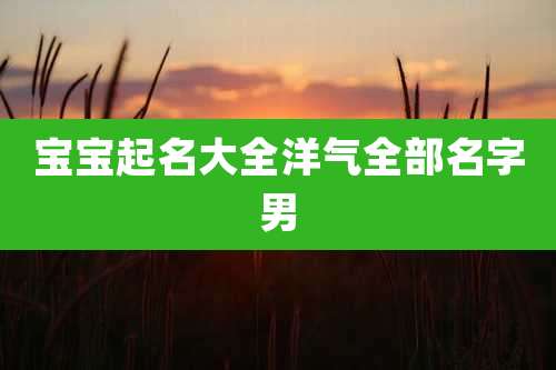 宝宝起名大全洋气全部名字男
