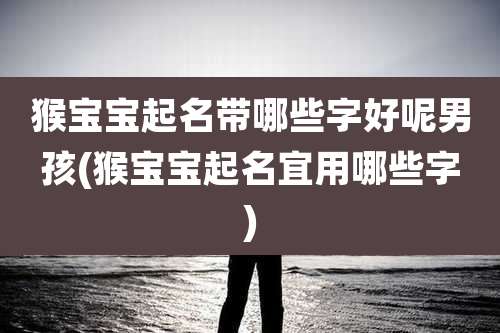 猴宝宝起名带哪些字好呢男孩(猴宝宝起名宜用哪些字)