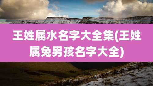 王姓属水名字大全集(王姓属兔男孩名字大全)