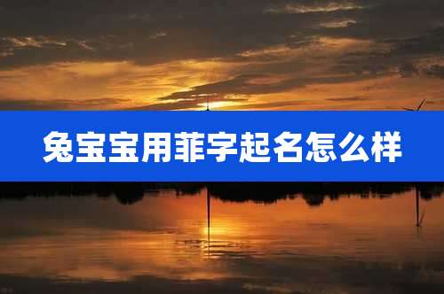 兔宝宝用菲字起名怎么样