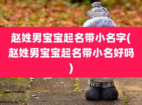 赵姓男宝宝起名带小名字(赵姓男宝宝起名带小名好吗)