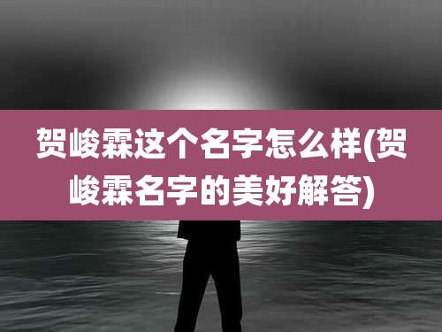 贺峻霖这个名字怎么样(贺峻霖名字的美好解答)