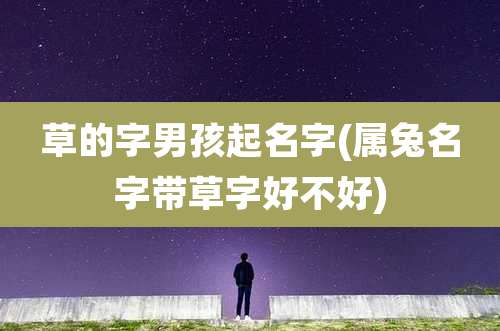 草的字男孩起名字(属兔名字带草字好不好)