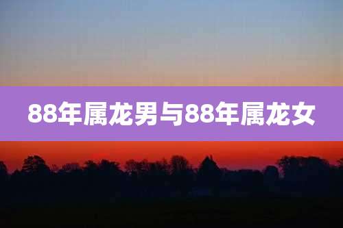 88年属龙男与88年属龙女