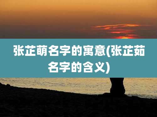 张芷萌名字的寓意(张芷茹名字的含义)