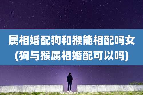 属相婚配狗和猴能相配吗女(狗与猴属相婚配可以吗)