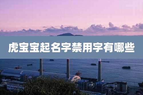 虎宝宝起名字禁用字有哪些