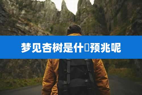 梦见杏树是什麼预兆呢