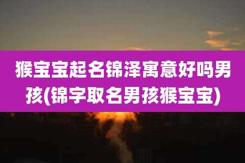 猴宝宝起名锦泽寓意好吗男孩(锦字取名男孩猴宝宝)