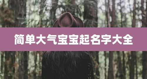 简单大气宝宝起名字大全