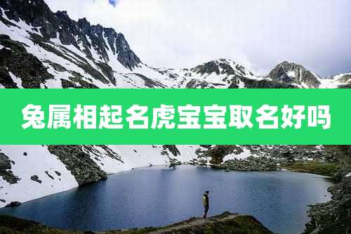 兔属相起名虎宝宝取名好吗