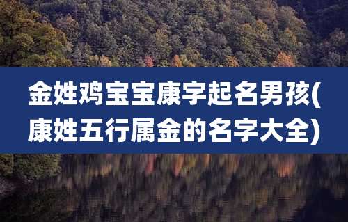 金姓鸡宝宝康字起名男孩(康姓五行属金的名字大全)